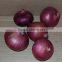 Fresh Onion Red Onion from Pakistan ( Naqshbandi Enterprises )