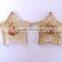 Supplier Of Crystal Quartz 5 Pointed Star