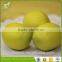 high simulation decorative wholesale home decoration artificial fruit mango for sale