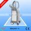 Beir Two handles Criolipolisis /coolshape body slimming machine BRG80s/More advanced than liposuction, fat melting technology