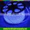 high voltage buttom price waterproof 3014 blue color flexible smd led strip