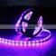 dmx led strip 5050 led strip