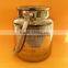 glass electroplate craft jar with rope handle