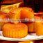 PLC multifunction automatic moon cake encrusting making machine
