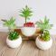 Customized Artificial Succulent Mini Potted Succulent Plants Wholesale