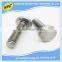 customized nonstandard stainless steel flat head threaded screw