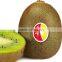 fresh green kiwi