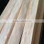 Natural American Maple Veneer for Furnishing