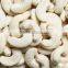 Cashew Nut, Cashew Nut Guinea Bissau, Whole Cashew Nut