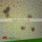 Fixed set University students study 78pieces medical parasite prepared microscope slides