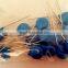 varistor surge arrestor surge absorber 14mm 14D331K surge protector electronic components