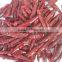 red chilli pods