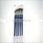 Daniel Pig Mane Artist brush/Oil painting brush set,artist painting brush