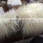 faux fur blanket