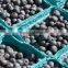 Grade A Fresh Strawberries, Raspberries, Elderberries, Cranberries, Blueberries, Blackberries, Blackcurrant, Redcurrant