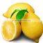 Fresh lime and lemons factory