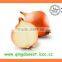 FOR SALE Export Fresh Red and Yellow Onion