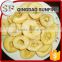 Smart organic dried apple rings