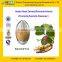 GMP Factory Supply Free Sample Pueraria Extract