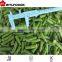 wholesales frozen green bean cut variety HEIHU 2015 crop