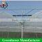 Cheapest three-layer eva film agriculture greenhouse