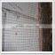 6X6 Galvanized Stainless Steel Wire Material and Concete Reinforcing Welded Wire Mesh
