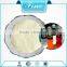 Protein collagen type ii powder