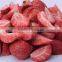 Hot Sale Fruit Vacuum Freeze Dryer