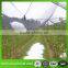 ANTI-HAIL AND WIND BREAK NET