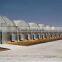 Arch pipes greenhouse