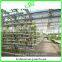 High-tech Greenhouses and Hydroponic Systems for Professional Growers