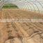 Hot sale agricultural tunnel greenhouse hoops