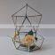 Wholesale geometric glass greenhouse keepsake flower Box jewelry box