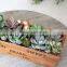 Creative succulent plant rectangle garden woood planter