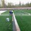 High quality synthetic grass turf for campus playground cover for sale