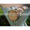 Good quality eco friendly adjustable sawhorse legs