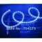 retail and wholesale 24 light led strip & blue colour round two line & flexible led strip & neon light strip