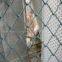 Chain Link Fence