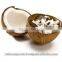 Fresh coconut sellers