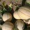 Stripe sweet cantaloupe musk melon seed for sale