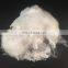 JC/ geotextile use white 6 denier 4 inch pp staple polypropylene fiber