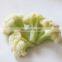 Sinocharm Agricultural products Wholesale BRC Approved 3-5 CM IQF White Cauliflower