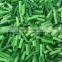 Sinocharm New Season BRC A Approved Frozen Garlic Sprout Cuts IQF Spring Garlic Sprout