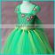 Fever Inspired Pretty Dress Elsa and Anna girl dress girl tulle tutu dress birthday dress