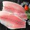 Frozen Tilapia Fillet IQF Tilapia Fillet Frozen (OREOCHROMIS NILOTICUS)