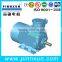 Professional Electric AC Motor with Explosion Proof Flame Proof Three Phase