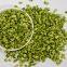 pure nature freeze dried green bell pepper distributor