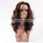 100 virgin Brazilian lace front wigs afro kinky curly lace front wig brazilian hair lace front wig