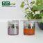 Popular 15g 30g 50g Plastic Airless Cream Jar for Moisturizer, Whitening Bottle