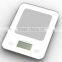 2015 5kg cheap wholesale digital cooking weighing kitchen scale